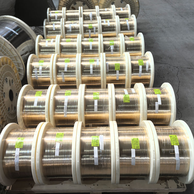 Trak iz nerjavečega jekla 301